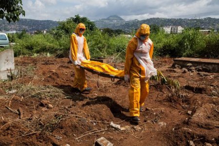 Вирус Эбола и всеобщая паника угрожают экономике Африки