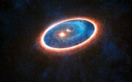 Двойной пульсар, который учёные-астрономы изучали несколько лет, исчез у ни ...