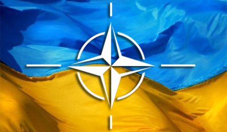 Украина и НАТО проведут осенью совместные учения