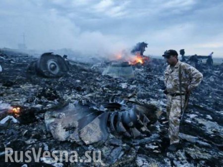 В Минобороны России рассчитали, откуда был сбит Boeing MH17