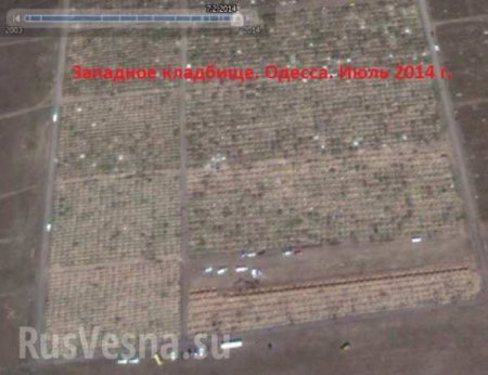 Google Earth рассказал о реальных потерях украинских войск на Донбассе (ФОТО)