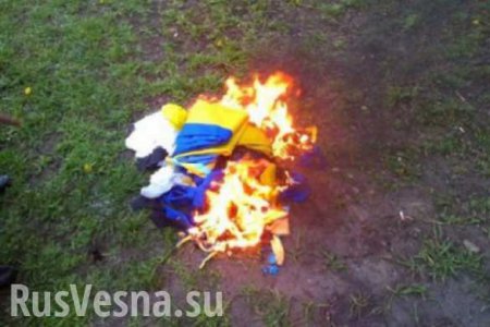 В Краматорске местные жители срывали и жгли флаги Украины