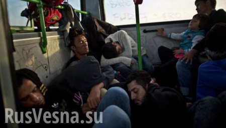 Мигрантов, совершающих преступления, нужно депортировать из ЕС, — премьер Чехии