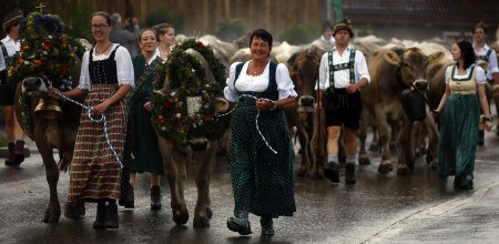 СМИ: Из-за санкций Кремля немецкие фермеры теряют по миллиарду в год