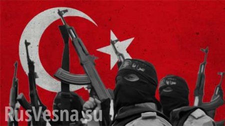 Спасти планы Турции может только ИГИЛ