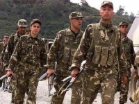 Алжир поднял уровень тревоги в вооруженных силах до военного положения
