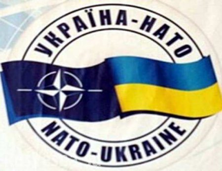 «Контрольный в голову»: Украине заявили, что ее уже не ждут в НАТО