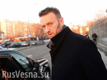Из жизни грантососов: еще одна нить управления Навальным (ФОТО, ВИДЕО)