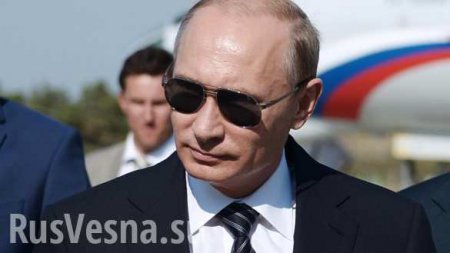 «Спасибо, президент Путин» — читатели мировых СМИ радуются освобождению Пальмиры