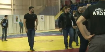 Вооруженные чеченцы устроили драку на турнире по вольной борьбе в Старом Осколе