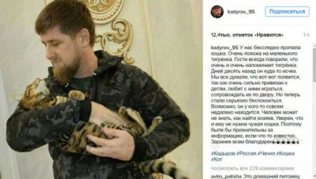 Кадыров попросил своих подписчиков в Instagram помочь найти его кошку