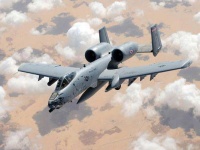 ВВС США ликвидировали 250 боевиков ИГ под Фаллуджей