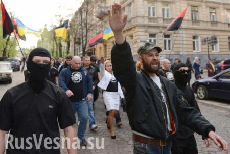 Украинские националисты залили кровью дорогу к резиденции посла России (ВИДЕО)