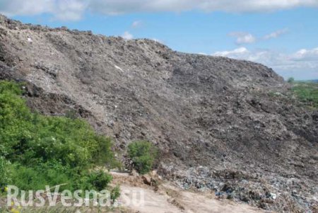 Львовский коммунальщик оказался погребен под мусором — поиски остановлены (ФОТО)