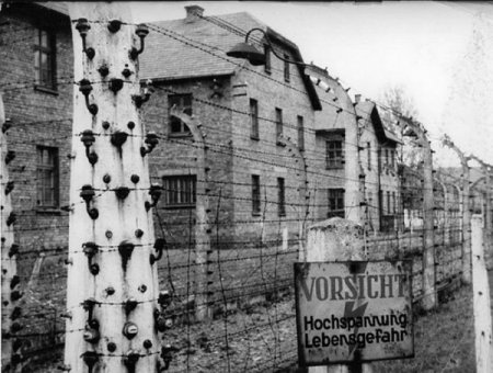 В Освенциме появились покемоны