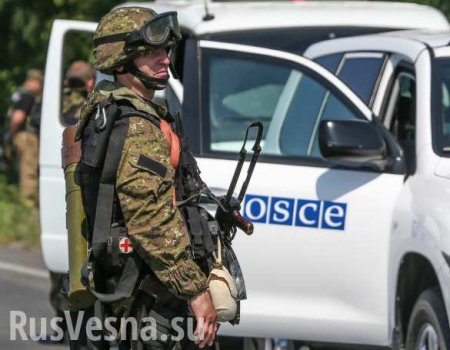 ВСУ не пустили ОБСЕ в район, откуда обстреливают ЛНР — Народная милиция