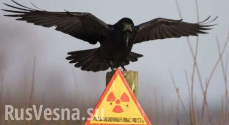 Об украинском гопаке на ядерной мине