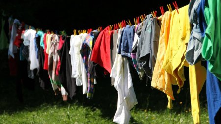 Выйти из шкафа: как государства регулировали ношение одежды