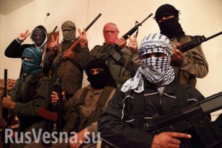 Киев перебросил к линии соприкосновения с ЛНР арабских наемников