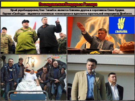 Сводка от МО ДНР 20 ноября 2016. Укрофашисты потеряли девять человек при попытке прорыва линии обороны ДНР на юге Республики