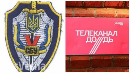 Константин Долгов: журналисты «Дождя» выполняли в Донецке задание СБУ (ВИДЕО)