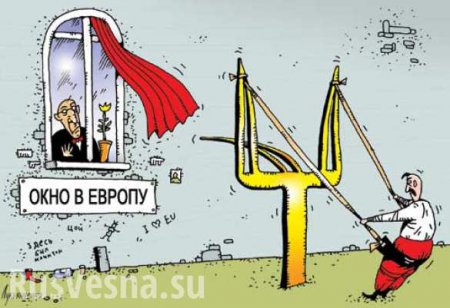 «Россияне проходят без очереди, а украинцев дактилоскопируют», — нардеп о дискриминации в Польше