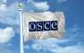 Пришла зрада откуда не ждали: Киев обвинил ОБСЕ в попытке «легализировать а ...