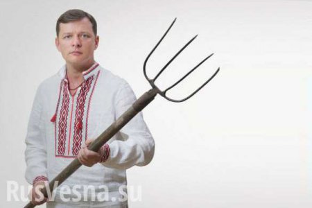 Ляшко предлагает распродать украинские леса