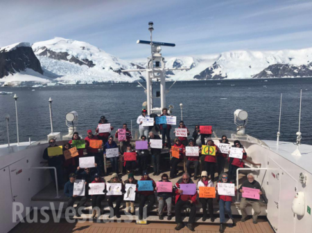 Пингвины против Трампа: В Антарктиде прошел «Марш женщин» (ФОТО)