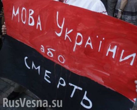 Украинский законопроект о языке грозит международным скандалом, — Медведчук