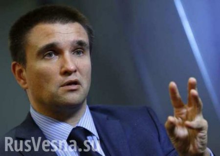 Украина может ввести военное положение быстро-быстро, — Климкин