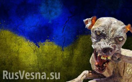Мы тебя зубами грызть будем, — украинский чиновник угрожает Путину (ВИДЕО)
