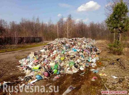 Львовский мусор продолжают развозить по стране (ФОТО)