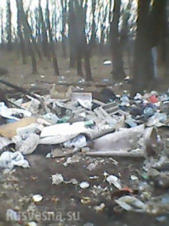 Кучи мусора, выбитые окна и мины: во что «всушники» превратили детский лагерь на Донбассе (ФОТО)