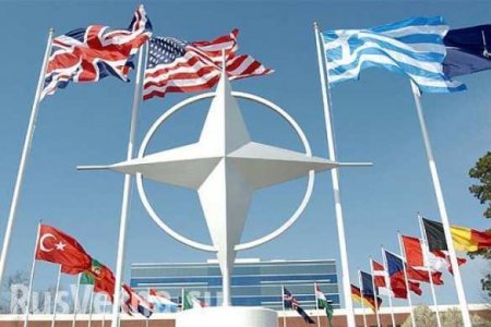 «Национальное что-то там»: что американцы могут сказать о НАТО (ВИДЕО)