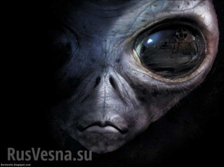 На Тайване обнаружили «инопланетного монстра» (ВИДЕО) | Русская весна