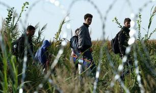ЕС и миграционный кризис: тайные сценарии