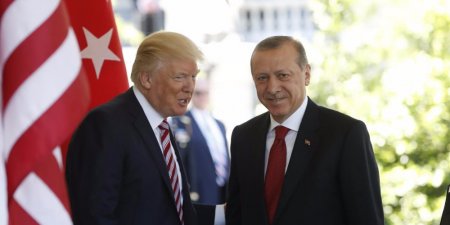 Трамп и Эрдоган договорились о встрече