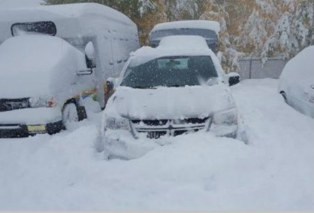 В канадской провинции Саскачеван выпало более полуметра снега
