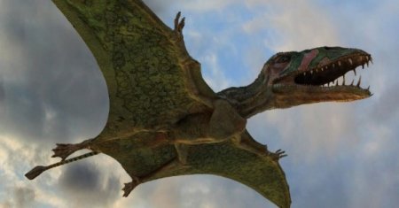 Интернет шокировало видео настоящего дракона