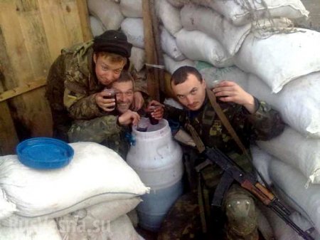 Пьяные бойцы ВСУ в поисках еды забрались в погреб к жителю Счастья — Народная милиция