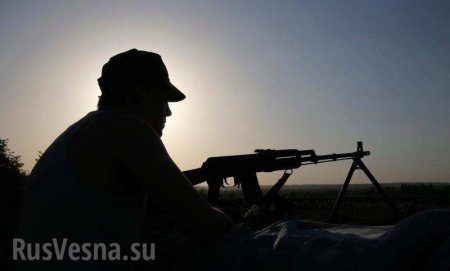 Они выскочили на пулемёты: «Призрак» уничтожил спецгруппу ВСУ — подробности боя в ЛНР