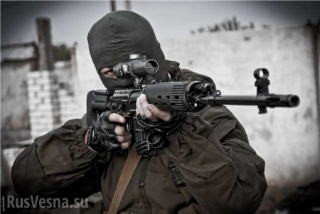 Жестокие кадры: Снайперы уничтожают украинских оккупантов на Донбассе (ВИДЕО 18+)