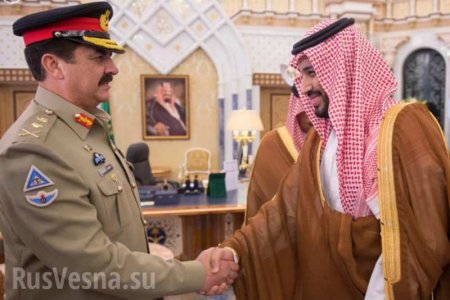 Саудиты создали очень странную исламскую военную коалицию