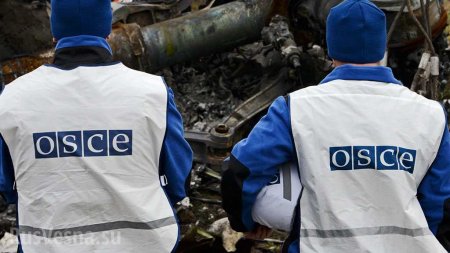 В ОБСЕ назвали число россиян и американцев в наблюдательной миссии на Донбассе
