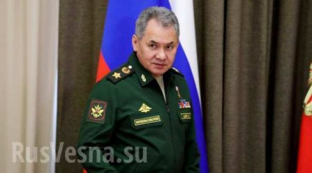 Шойгу назвал количество российских военных, принимавших участие в операции в Сирии