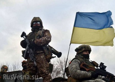 ВСУ передают накопленный на Донбассе опыт террористам в Сирии — мнение