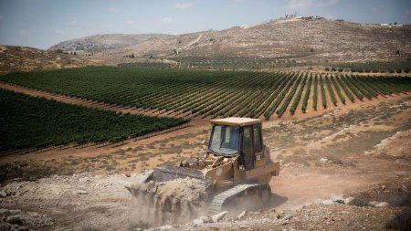 Израиль начал возводить новое поселение на Западном берегу Иордана впервые  ...