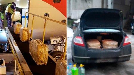 Дипломатический балласт: как в российском посольстве в Буэнос-Айресе оказалось 12 чемоданов с кокаином