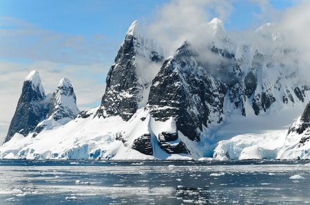Первое в истории шествие «Бессмертного полка» пройдет в Антарктиде